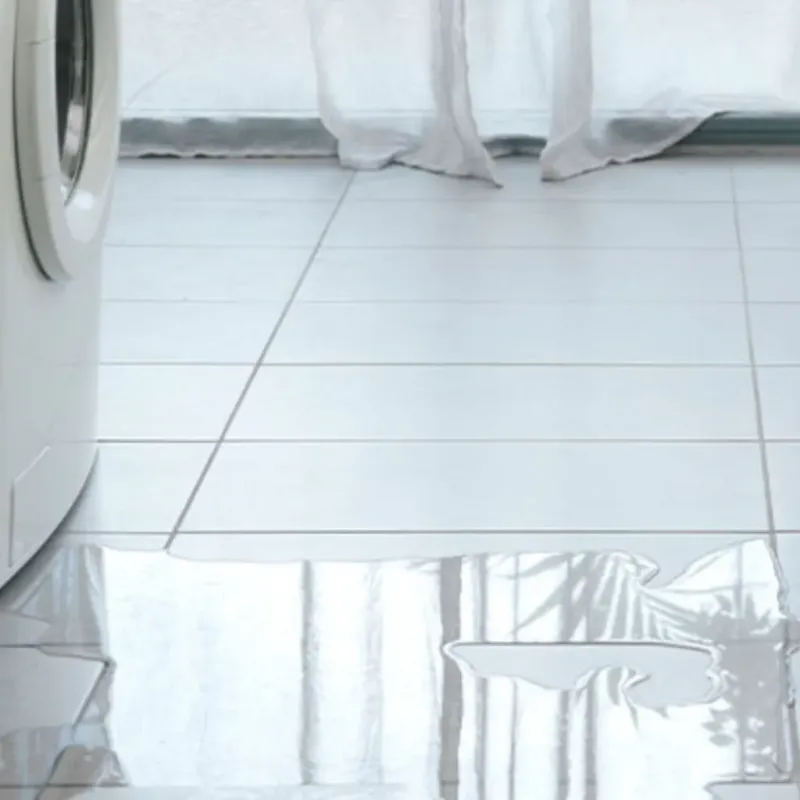 Appliance Leak Cleanup in Covington, KY