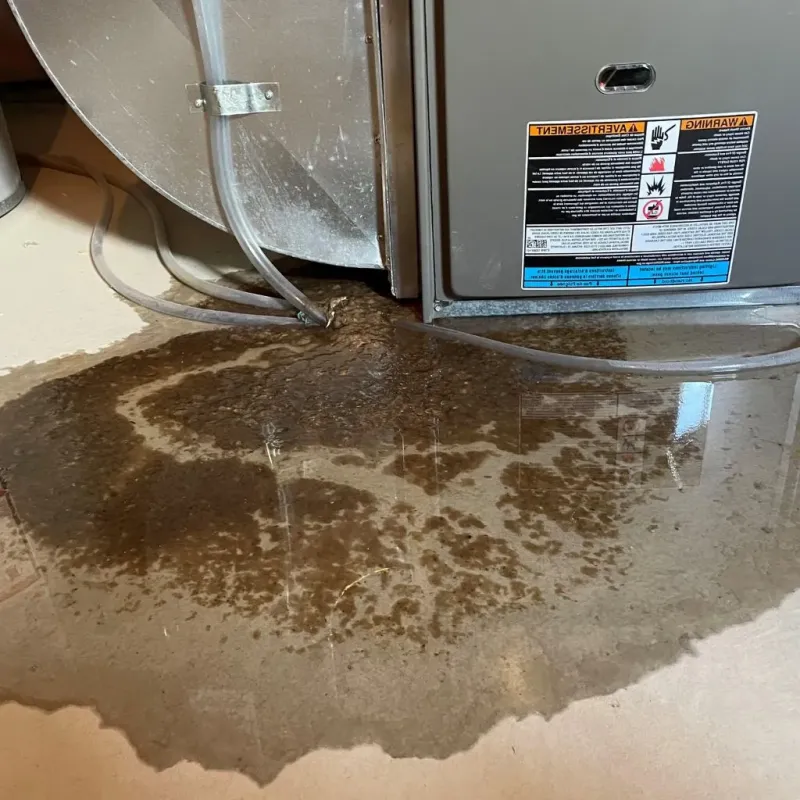 Pipe Burst and Leak Restoration in Covington, KY
